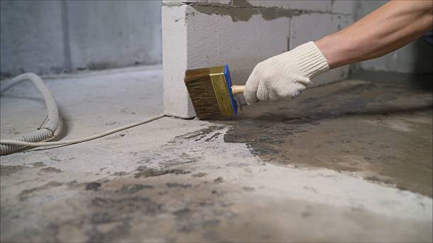 Crawl space vapor barrier installation in Cypress Inn, TN